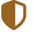 Shield Icon